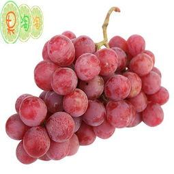 红提网,探索农业科技新篇章