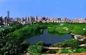 聊城人民公园头条文章,打造城市绿肺新地标