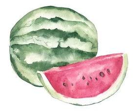 吃瓜设计者,从娱乐现象到社会现象的演变轨迹