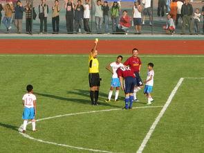 央视明星足球队,绿茵场上的星光熠熠