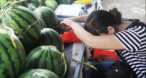 合肥吃瓜事件巴里甜甜,巴里甜甜引发的社区热议