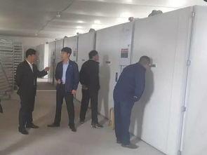 杏树岗今日头条,聚焦乡村发展新动态