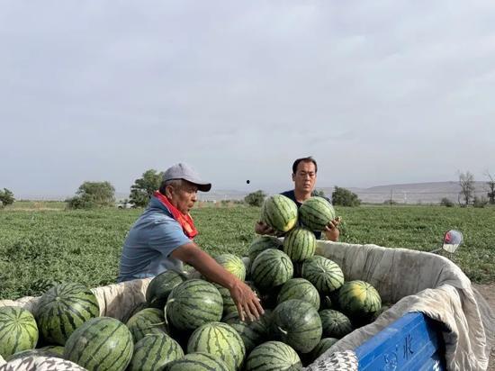 林州中洲吃瓜新闻最新消息,揭秘当地最新热点事件背后的真相