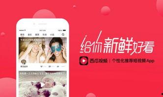 头条上西瓜视频收益如何