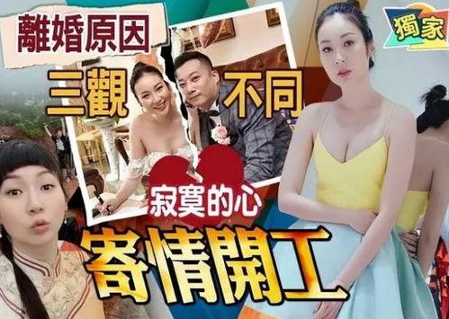 真假千金爆料小故事视频,揭秘视频中的惊人反转