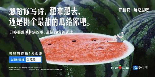 霸气吃瓜的文案短句,揭秘娱乐圈风云变幻