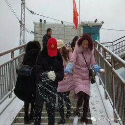 站在桥上的网红乞丐图片,引发网友热议