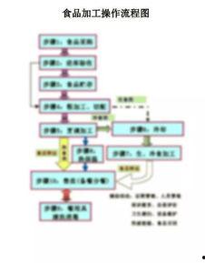 食品生产爆料流程视频,视频曝光背后的真相