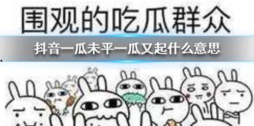 抖音吃瓜啥意思,揭秘网络热点的背后真相