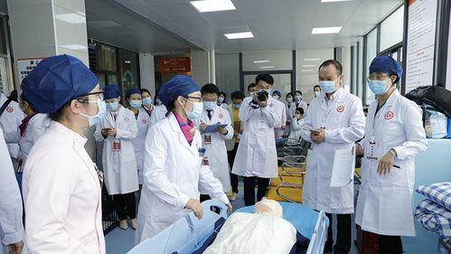 深圳龙岗19号新闻头条,重大民生项目进展与区域发展新动态