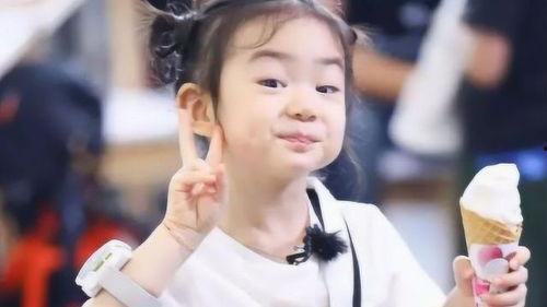 参加爸爸回来了的明星,育儿路上的明星爸爸们