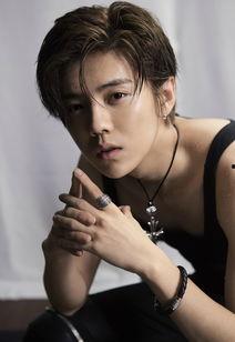 zyw明星,闪耀舞台，魅力无限