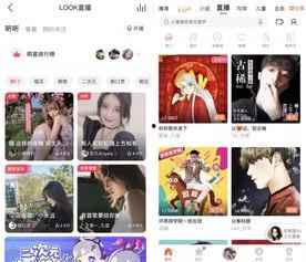 头条如何知道谁给我打赏,如何查看谁为我慷慨解囊？