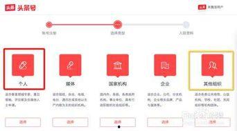 头条号都有哪些条款推荐,深度解析平台核心条款与合规指南