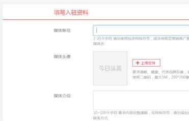 今日头条如何给账号取名,打造个性鲜明、吸睛夺目的昵称