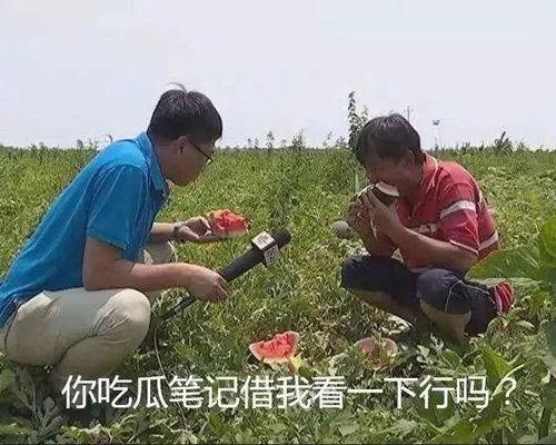 江妹吃瓜,揭秘娱乐圈幕后故事