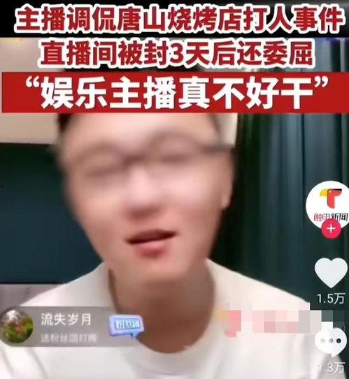 百万网红事件,揭秘网络红人现象背后的风云涌动