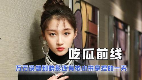 娱乐圈吃瓜的小说,瓜田里的明星秘闻