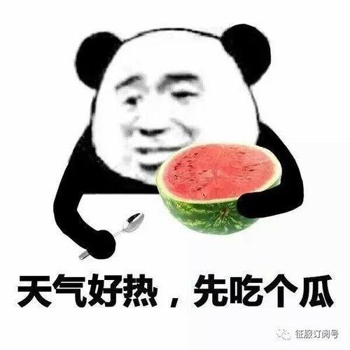 娱乐吃瓜酱520,吃瓜酱带你领略娱乐圈甜蜜瞬间