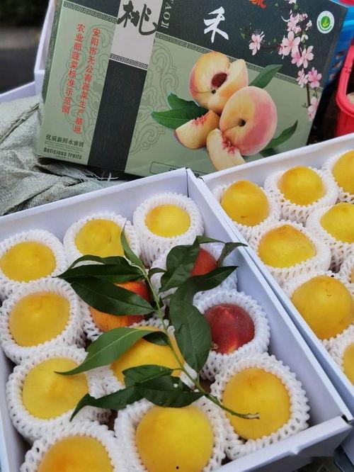 娱乐吃瓜场地,这里是明星八卦的聚集地