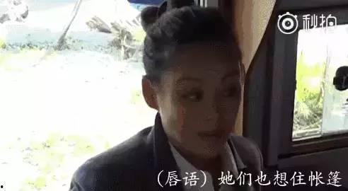 娱乐吃瓜主播真假对比,真假信息大对比