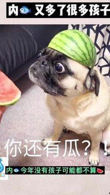 娱乐圈子吃瓜群众,揭秘吃瓜群众的狂欢盛宴