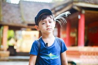 娱乐吃瓜张俪微博