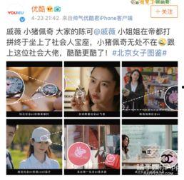 吃瓜猪娱乐视频,揭秘娱乐圈幕后故事