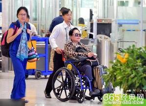 娱乐吃瓜君轮椅