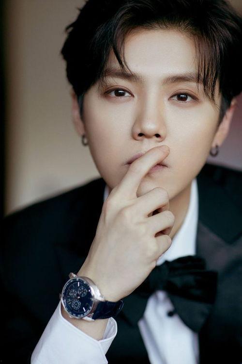 吃瓜娱乐圈鹿晗是谁,娱乐圈的瓜中明星