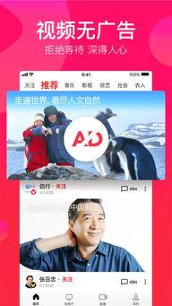 吃瓜娱乐精选视频下载安装,畅享吃瓜娱乐精选视频，轻松安装新体验