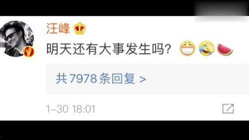 娱乐圈吃瓜网站是什么,揭秘明星幕后故事与八卦传闻