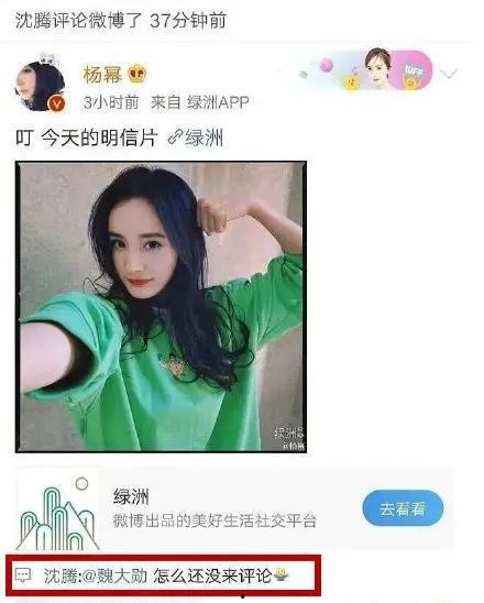 娱乐圈吃瓜网站是什么,揭秘明星幕后故事与八卦传闻