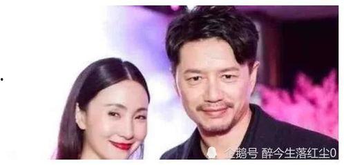 娱乐圈吃瓜400页合集,揭秘明星幕后故事与精彩瞬间