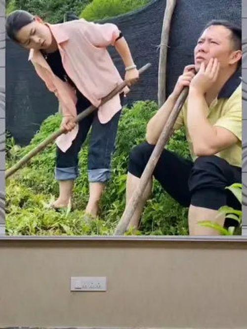 娱乐吃瓜拍摄地