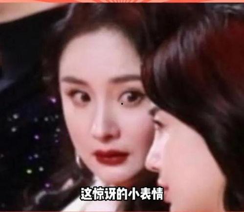 吃瓜看娱乐圈