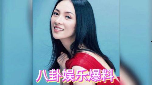 娱乐明星吃瓜解说,明星幕后故事大揭秘