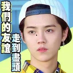吃瓜娱乐圈真假